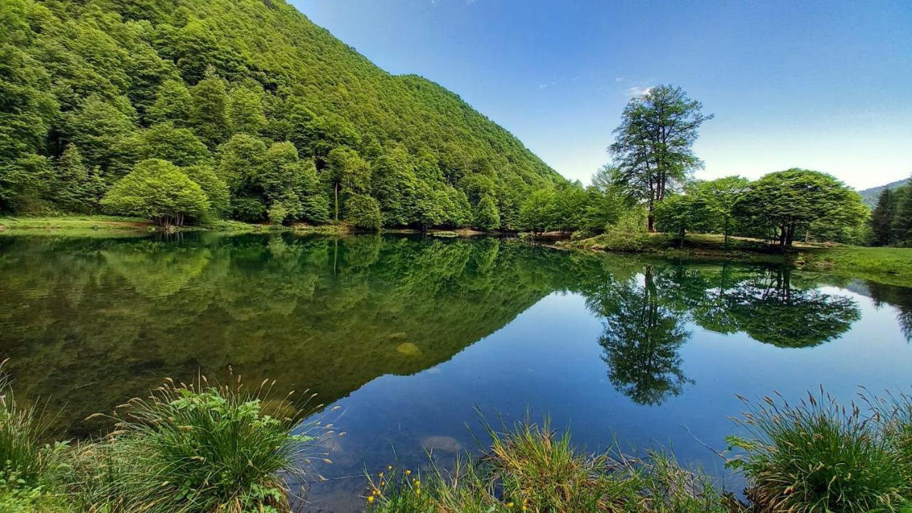 Le Jardin De Moulis, Saint Girons, Ariege, Pyrenees,住宿加早餐旅馆 外观 照片
