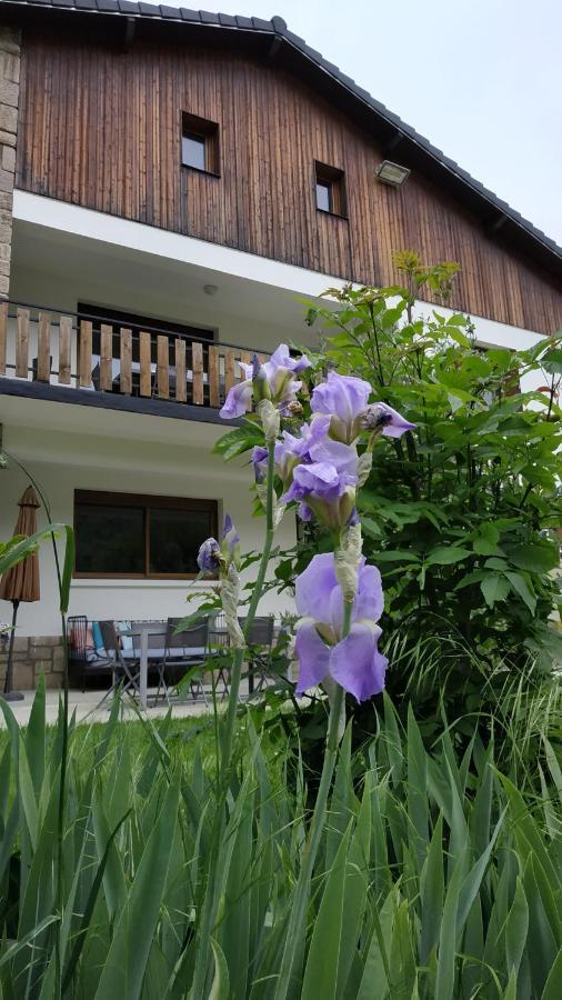 Le Jardin De Moulis, Saint Girons, Ariege, Pyrenees,住宿加早餐旅馆 外观 照片